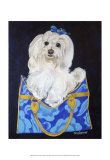 Maltese Clutch