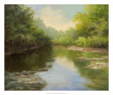 O'Bannon Summer Creek