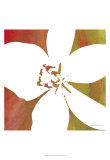 Peace Flowers II