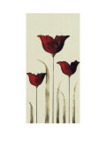 Tulips III