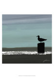 Dusky Sea IV