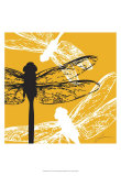 Pop Fly I