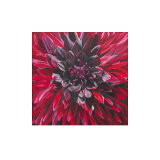 Fabulous Black Wizard Dahlia