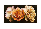 Rose Trio