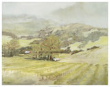 Spring Vineyard