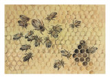 Peggy Visits The Bees