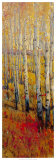 Vivid Birch Forest I