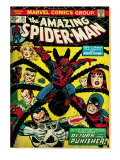 Marvel Comics Retro: The Amazing Spider-Man Comic Book Cover 135  Return of the Punisher! (aged)