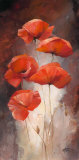 Poppy Bouquet I