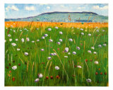 Meadow  c1902