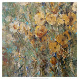Amber Poppy Field I