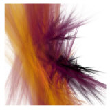 Mutation V