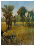 Sunkissed Field II