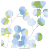 Blue Plums II