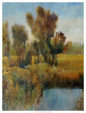 Sunkissed Field I
