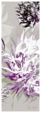 Purple Allure III