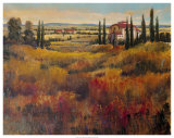 Tuscany I