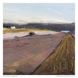 Pink Field