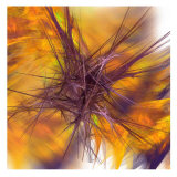 Muse I