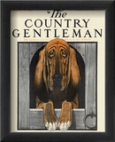 Bloodhound  c1916