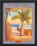 Bottle Palm