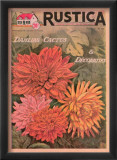 Plantez des Decoratifs