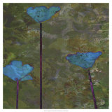 Teal Poppies II