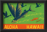 Flying Fish