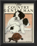 Puppies and the Turtle  c1916