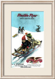 Flexible Flyer Sled