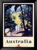 Australia Queensland Rain Forest
