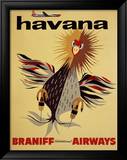 Braniff International Airways  Havana