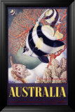 Australia Great Barrier Reef