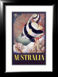 Australia Great Barrier Reef