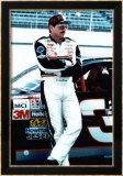 Dale Earnhardt