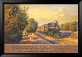 Wonderful Califonia