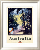 Australia Queensland Rain Forest