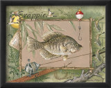 Crappie