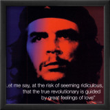 Che Guevara: Revolutionary