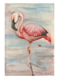 Pink Flamingo II