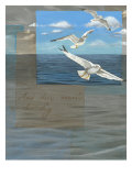 Three White Gulls III