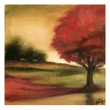 Maple Harvest I