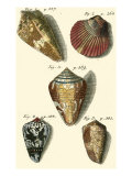Neptune's Treasure I