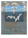 Three White Gulls II