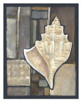 Abalone II