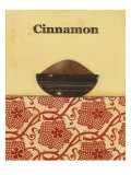 Exotic Spices - Cinnamon