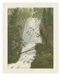 Tranquil Cascade I