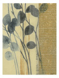 Whisper II