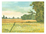 Mini Western Vista IV