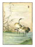 Oriental Cranes II